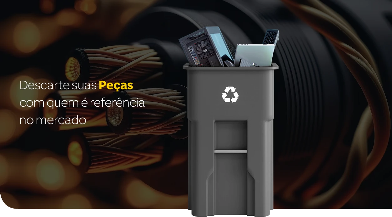 Descarte de Informática