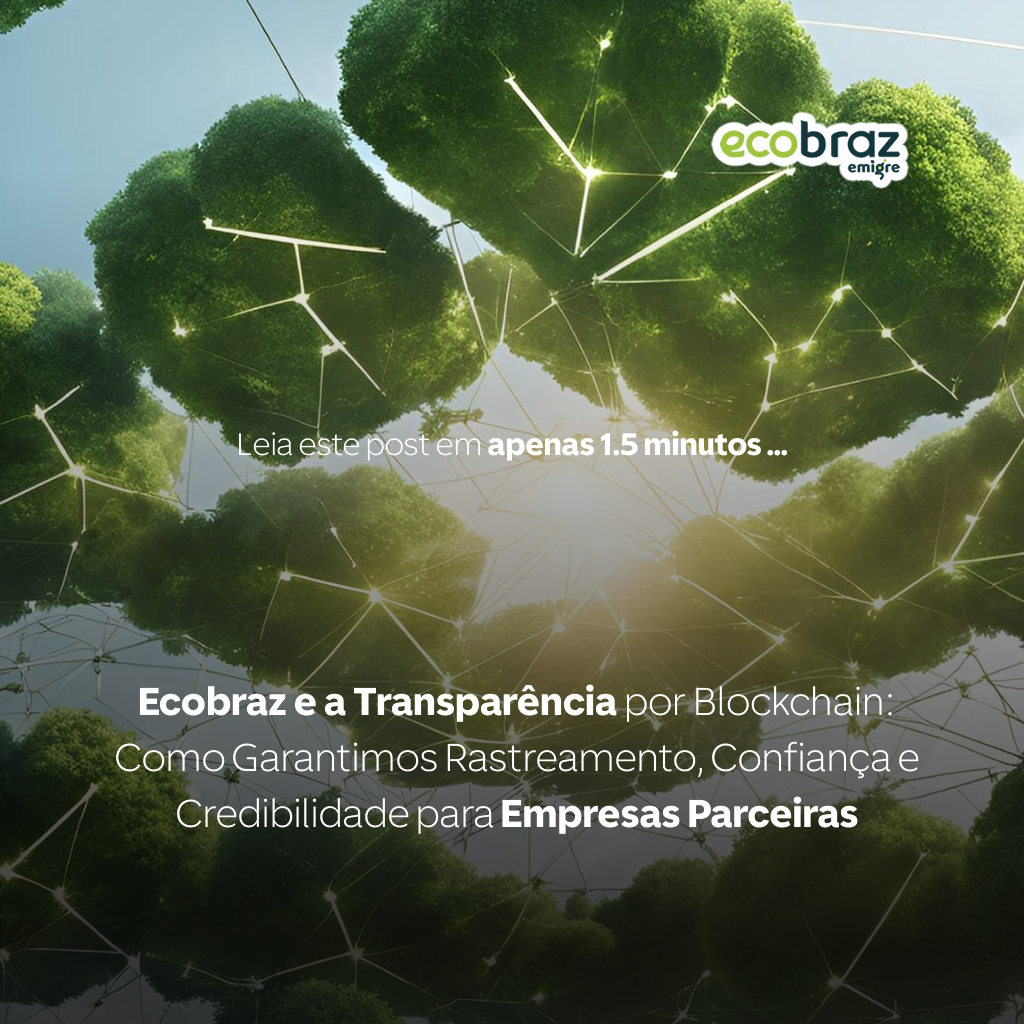 Ecobraz and Blockchain Transparency: How We Ensure Tracking, Trust, and Credibility for Partner Companies