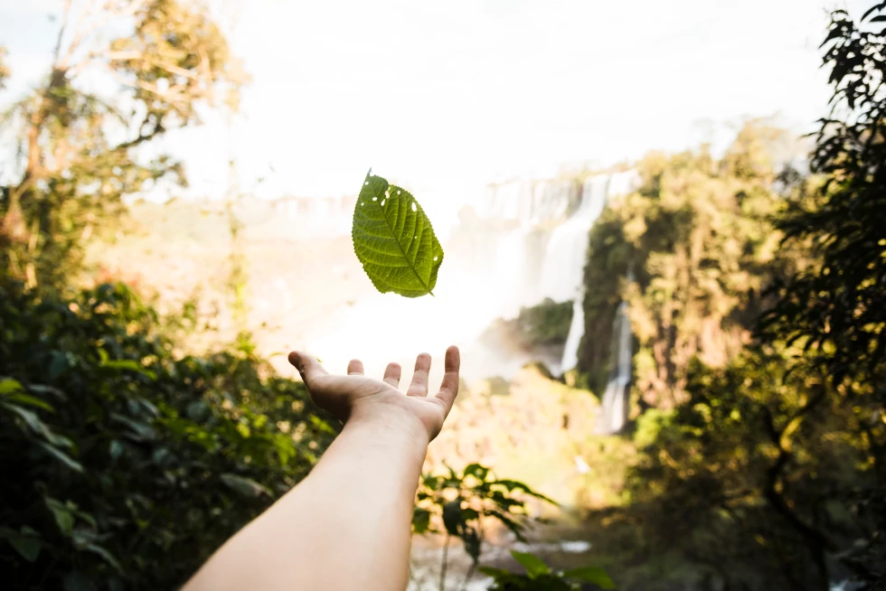 Por que a coleta de lixo eletrônico é importante para o meio ambiente e para a sociedade?